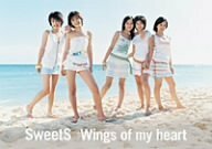 Wings of my heart [DVD](中古品)　(shin