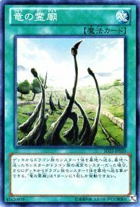 遊戯王カード 竜の霊廟 青眼龍轟臨(SD25)収録 /SD25-JP020-SR/遊戯王ゼアル(中古品)　(shin