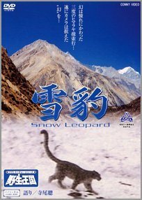 雪豹 Snow Leopard 《DVDネイチャーシリーズ 野生の王国》 [DVD](中古品)　(shin