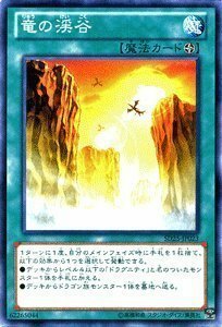 遊戯王カード 竜の渓谷 青眼龍轟臨(SD25)収録 /SD25-JP023-N/遊戯王ゼアル(中古 未使用品)　(shin