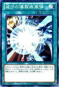 遊戯王カード 滅びの爆裂疾風弾 青眼龍轟臨(SD25)収録 /SD25-JP022-N/遊戯王ゼアル(中古品)　(shin