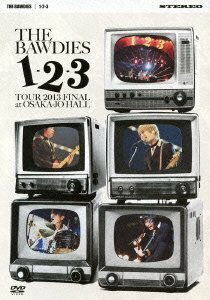 1-2-3 TOUR 2013 FINAL at 大阪城ホール【DVD通常盤】(中古品)　(shin