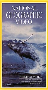 Nat'l Geo: Great Whales [VHS](中古品)　(shin