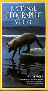 Nat'l Geo: White Wolf [VHS](中古品)　(shin