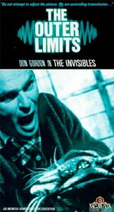 Outer Limits: Invisibles [VHS](中古品)　(shin