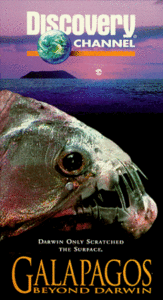 Galapagos: Beyond Darwin [VHS](中古品)　(shin