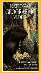 Nat'l Geo: Rocky Mountain Beaver Pond [VHS](中古品)　(shin