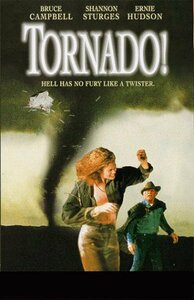 Tornado [DVD](中古 未使用品)　(shin