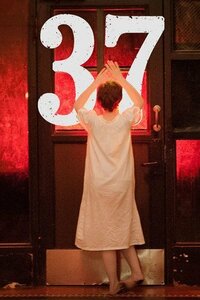 37 [DVD](中古 未使用品)　(shin