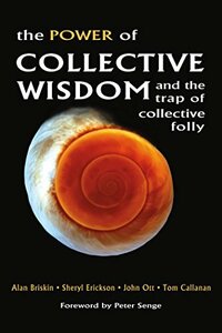 The Power of Collective Wisdom: And the Trap of Collective Folly　(shin