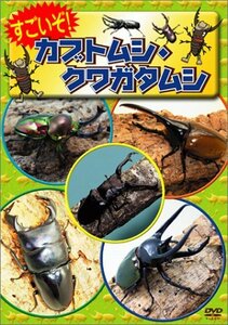 すごいぞ! カブトムシ・クワガタムシ [DVD](中古品)　(shin