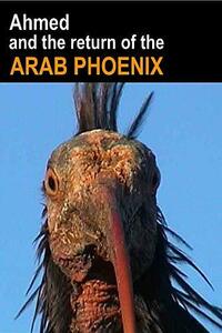 Ahmed & The Return of the Arab Phoenix [DVD](中古品)　(shin