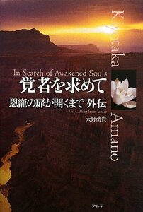 覚者を求めて―恩寵の扉が開くまで外伝　(shin