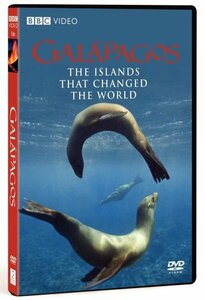 Galapagos [DVD](中古品)　(shin