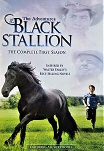 Adventures of Black Stallion: First Season [DVD](中古 未使用品)　(shin