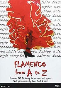 Flamenco From a to Z [DVD](中古品)　(shin