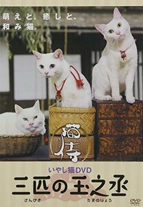 いやし猫DVD 猫侍 三匹の玉之丞(中古品)　(shin