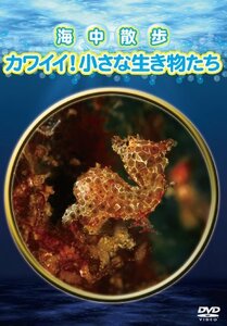 海中散歩~カワイイ! 小さな生き物たち~ [DVD](中古品)　(shin