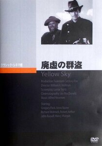 廃墟の群盗 [DVD](中古品)　(shin
