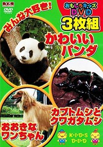 おもしろキッズDVD 3枚組 3(中古品)　(shin