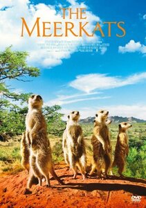 ミーアキャット スペシャル・エディション [DVD](中古 未使用品)　(shin