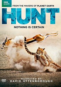 Hunt [DVD](中古品)　(shin