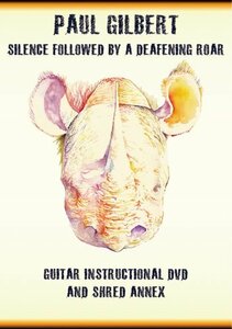 Silence Followed By A Deafening Roar [DVD](中古 未使用品)　(shin