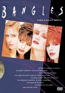 グレイテスト・ヒッツ [DVD](中古品)　(shin