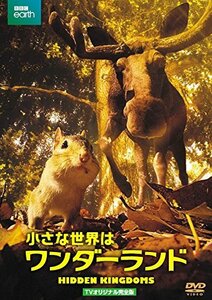 小さな世界はワンダーランド　TVオリジナル完全版（2枚組） [DVD]　(shin