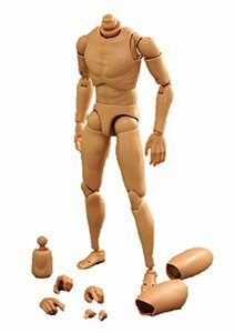 1/6 フィギュア 男性 素体(未使用品)　(shin