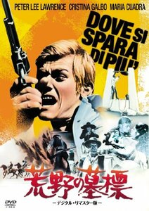 荒野の墓標 -デジタル・リマスター版- [DVD](中古 未使用品)　(shin