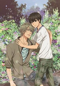 SUPER LOVERS 2第3巻限定版 [Blu-ray](中古 未使用品)　(shin