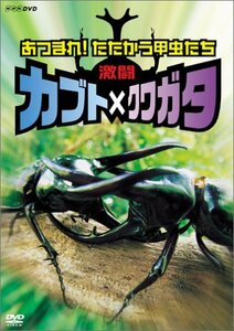 激闘 カブト×クワガタ ~あつまれ!たたかう甲虫たち~ [DVD](中古品)　(shin