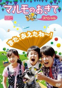 マルモのおきて スペシャル [DVD](中古品)　(shin