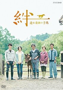 (中古品)絆~走れ奇跡の子馬~ [DVD]　(shin