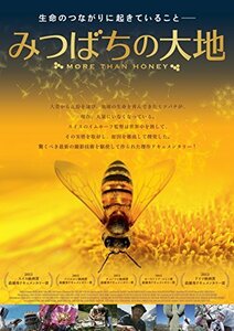 みつばちの大地 [DVD](中古 未使用品)　(shin