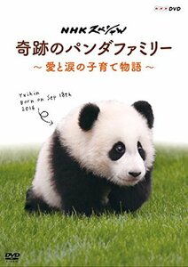 NHKスペシャル 奇跡のパンダファミリー ~愛と涙の子育て物語~ [DVD](中古 未使用品)　(shin
