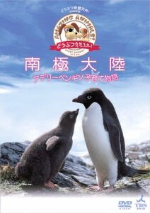 「どうぶつ奇想天外!」presents南極大陸・アデリーペンギン子育て物語 [DVD](中古品)　(shin