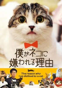 僕がネコに嫌われる理由 [DVD](中古品)　(shin