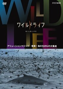 ワイルドライフ アリューシャンマジック 驚異! 海の生きもの大集結 [DVD](中古品)　(shin