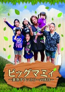 ビッグマミィ~美奈子ファミリーの休日~ [DVD](中古品)　(shin