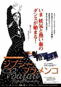 ジプシー・フラメンコ [DVD](中古品)　(shin