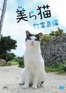 美ら猫(ちゅら猫)竹富島編 [DVD](中古品)　(shin