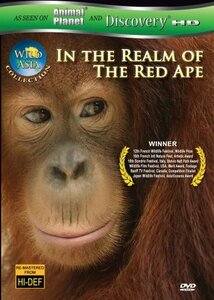 Wild Asia: In the Realm of the Red Ape [DVD](中古 未使用品)　(shin