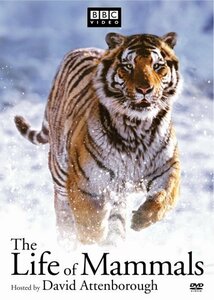 Life of Mammals 1-4 [DVD](中古品)　(shin