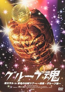 港カヲル in 都会の山賊ツアー~演奏・グループ魂~ [DVD](中古品)　(shin