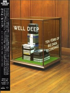 WELL DEEP ~10 YEARS OF BIG DADA RECORDINGS~[解説/日本語字幕付/国内盤] [DVD](中古 未使用品)　(shin