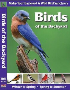 Birds of the Backyard [DVD](中古品)　(shin