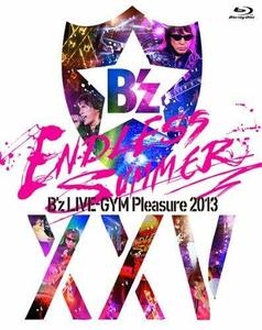 B'z LIVE-GYM Pleasure 2013 ENDLESS SUMMER-XXV BEST- [Blu-ray](中古 未使用品)　(shin