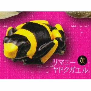 カプセルQミュージアム 財布にカエル お財布蛙 ［6.リマニーヤドクガエル(黄)］(単品)(中古品)　(shin